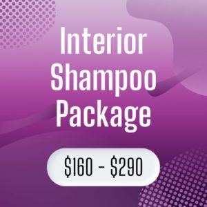 Interior Shampoo Package