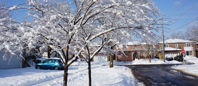 winter-whites-road-salt-car-detailing