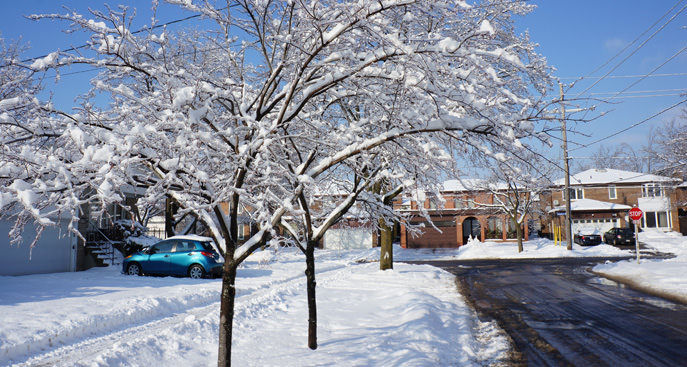 winter whites road salt car detailing