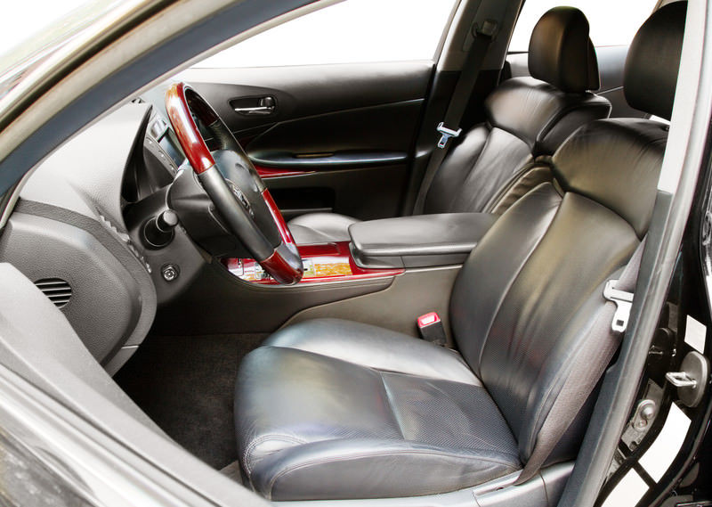 Can Mold Be Removed From Car Interior?