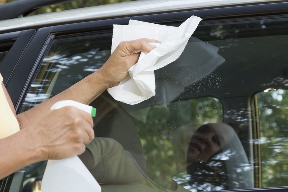 Can Mold Be Removed From Car Interior?