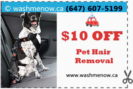 Get Rid of Pet Hair!