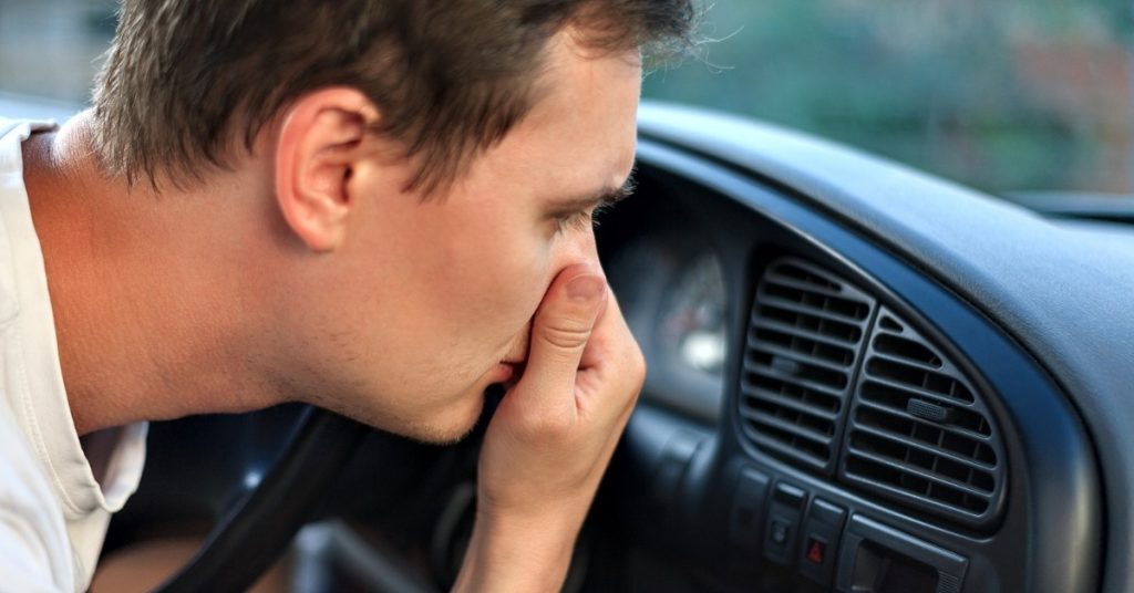 remove skunk smell from your car