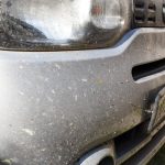 How To Clean Dead Bugs Off Your Car