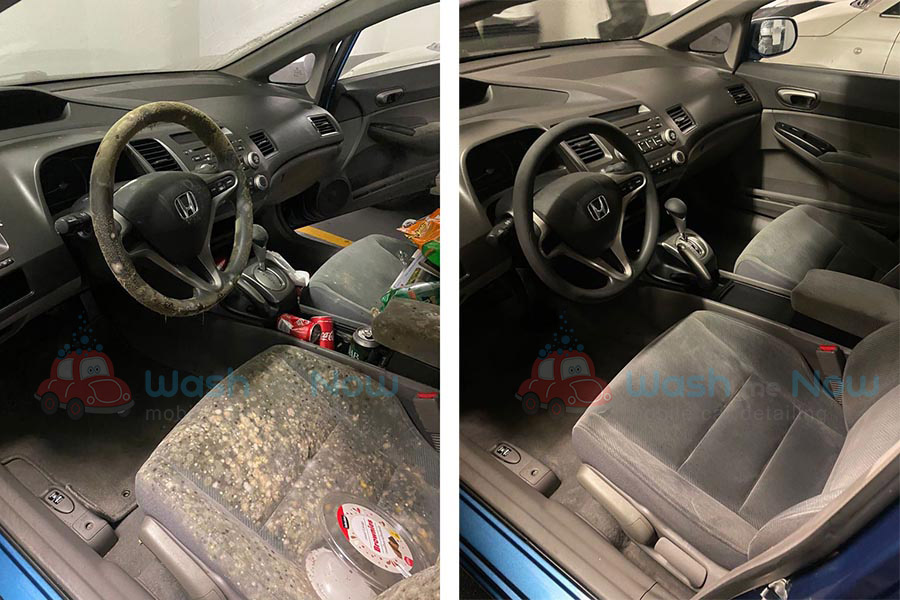Interior Car Mold Removal GTA