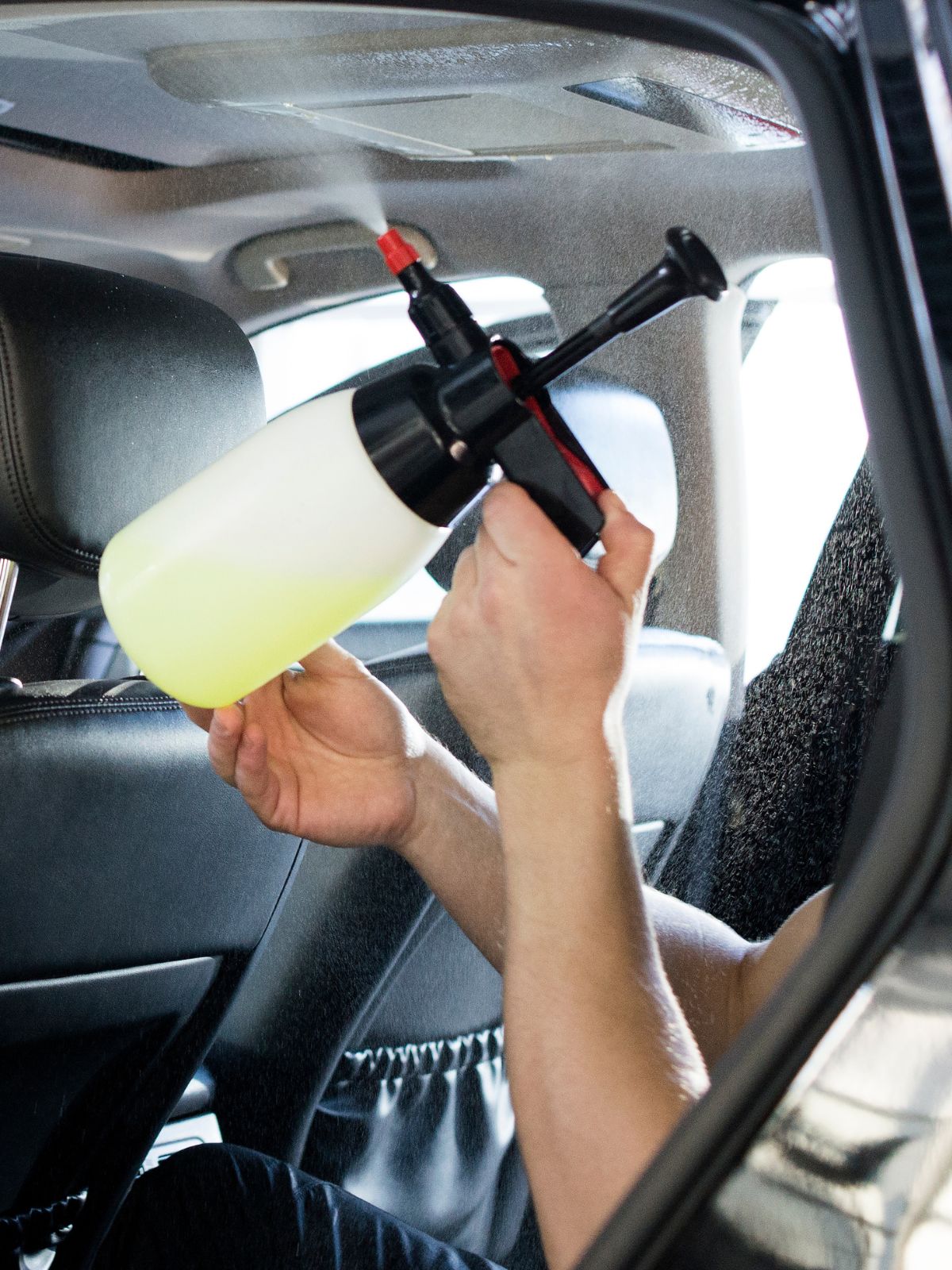 car interior disinfecting services