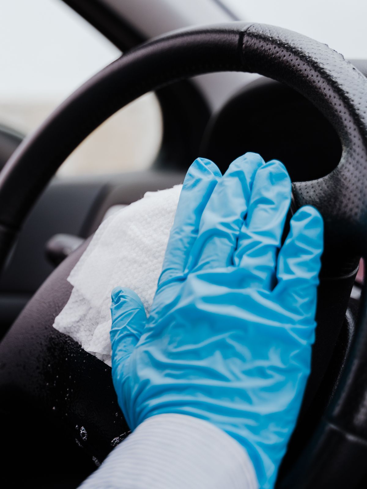 interior car disinfecting services