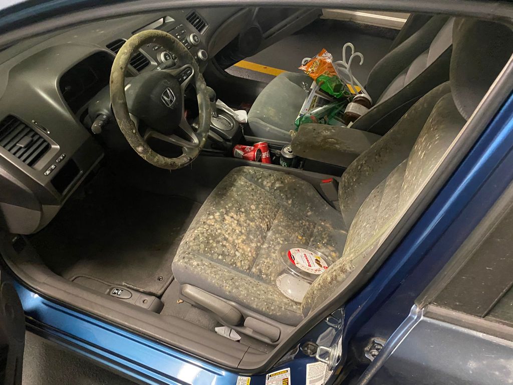 Affordable Interior Car Detailing Vaughan Wash Me Now