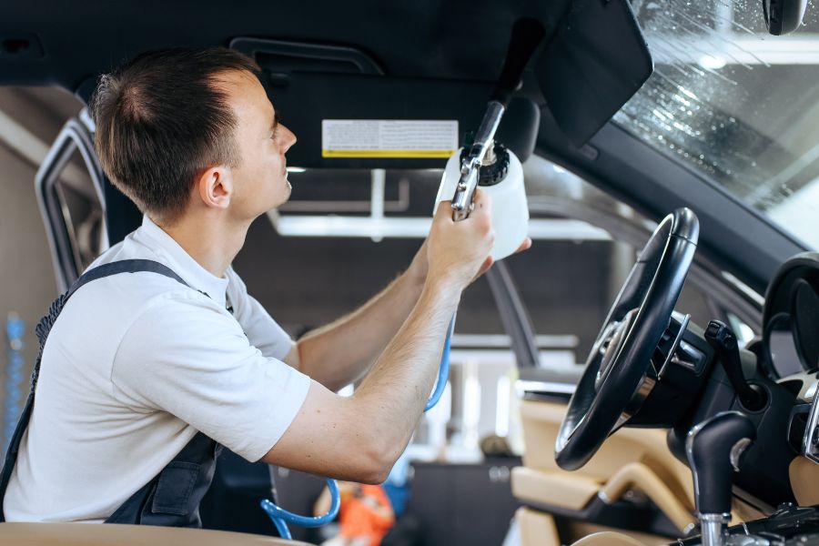 Can Mold Be Removed From Car Interior?